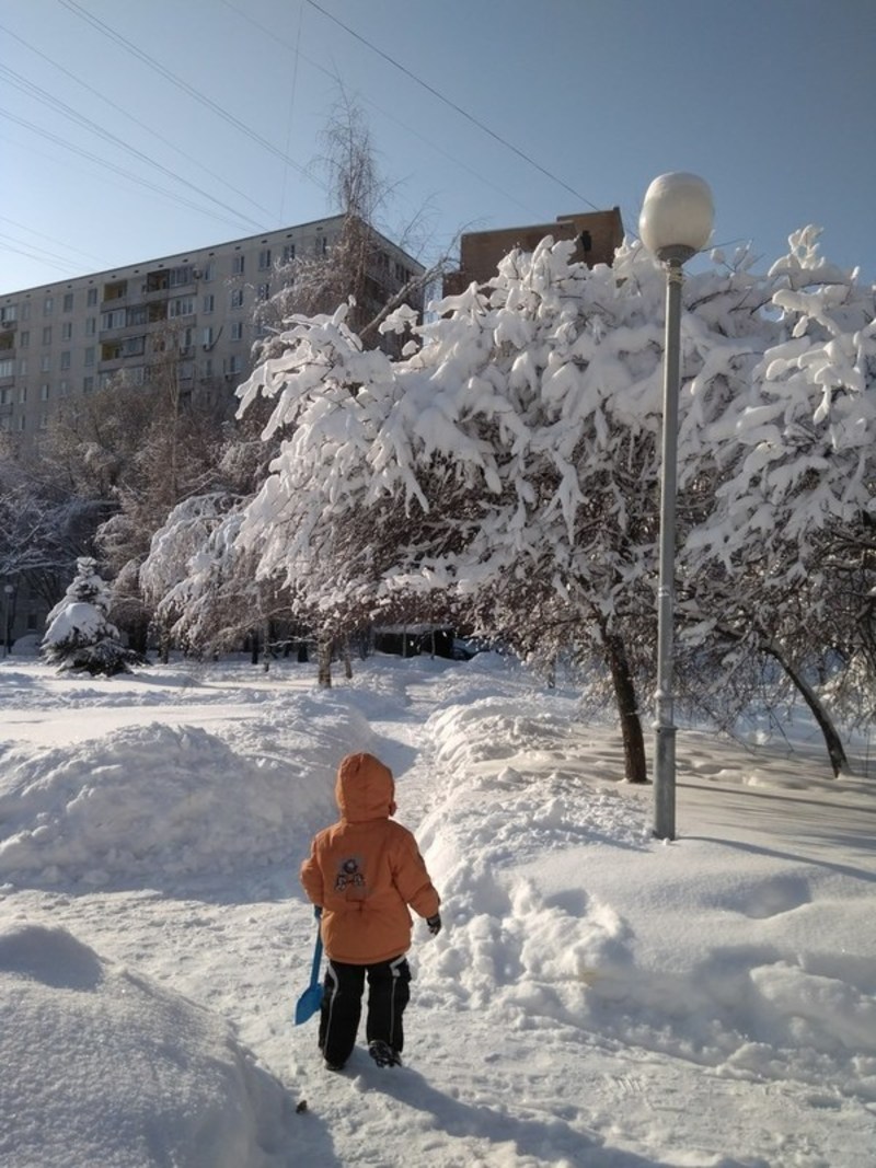 Как у нас появился свой ручной Лев.