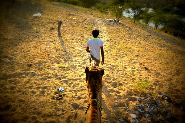 Camel Safari, или Как удержаться на верблюде
