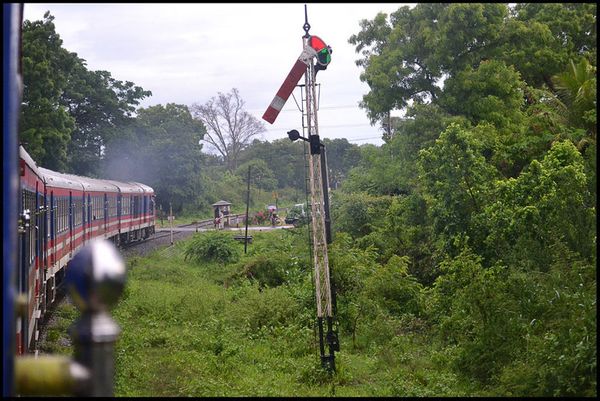 Из Дамбуллы в Коломбо