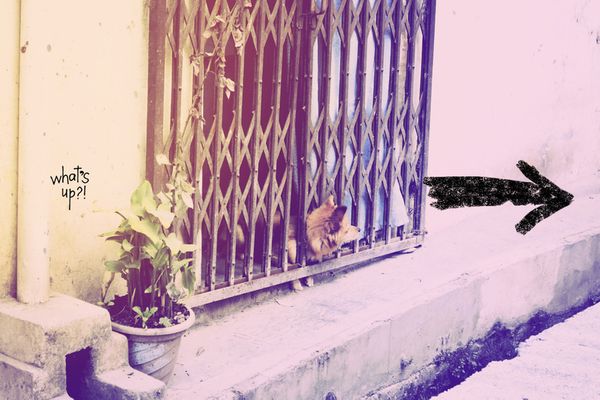 Почему вы еще дома, или Как начать путешествовать самостоятельно